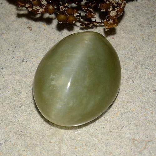 10.95ct Natural Verde terroso Ojo de Gato Actinolita, Ovalada, Translúcido