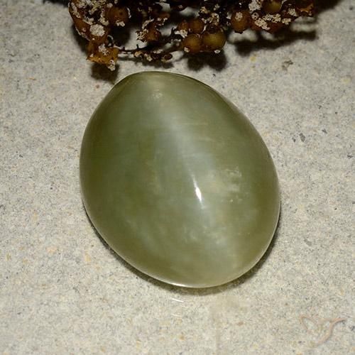 Ojo de Gato Actinolita Verde terroso natural de 10.95 ct, Ovalada, Translúcido