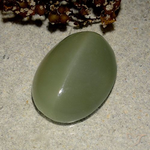6.03ct Natural Verde militar Ojo de Gato Actinolita, Ovalada, Translúcido