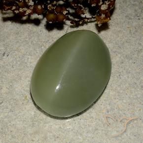 Ojo de Gato Actinolita Verde militar natural de 6.03 ct, Ovalada, Translúcido