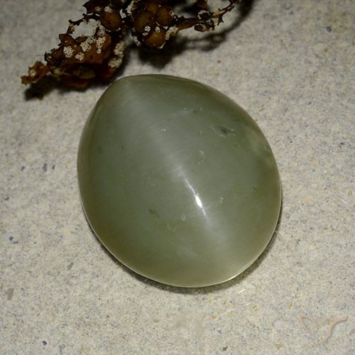 11.07ct Natural Verde medio Ojo de Gato Actinolita, Ovalada, Translúcido