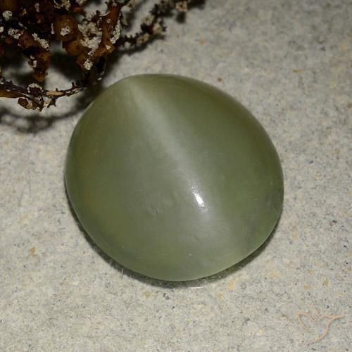 5.41ct Natural Verde medio Ojo de Gato Actinolita, Ovalada, Translúcido