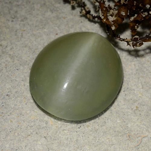 Ojo de Gato Actinolita Verde medio natural de 5.41 ct, Ovalada, Translúcido