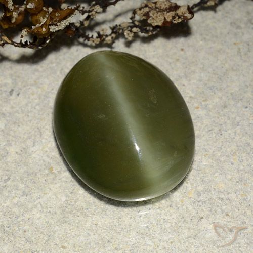 5.83ct Natural Verde oscuro Ojo de Gato Actinolita, Ovalada, Translúcido