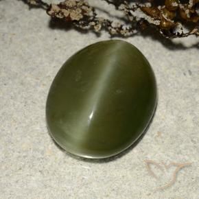 Ojo de Gato Actinolita Verde oscuro natural de 5.83 ct, Ovalada, Translúcido