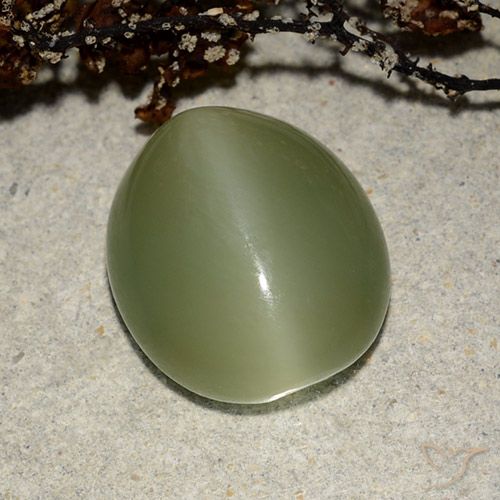 7.32ct Natural Verde cálido Ojo de Gato Actinolita, Ovalada, Translúcido