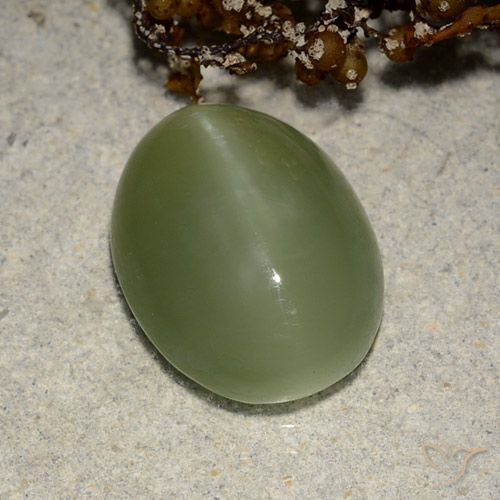 5.84ct Natural Verde terroso Ojo de Gato Actinolita, Ovalada, Translúcido
