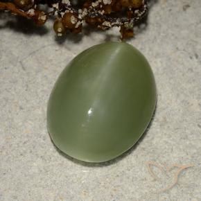 Ojo de Gato Actinolita Verde terroso natural de 5.84 ct, Ovalada, Translúcido