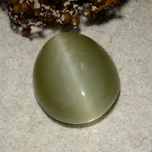 6.75ct Natural Verde cálido Ojo de Gato Actinolita, Ovalada, Translúcido