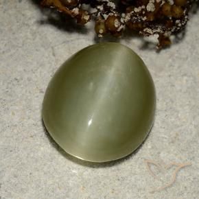Ojo de Gato Actinolita Verde cálido natural de 6.75 ct, Ovalada, Translúcido