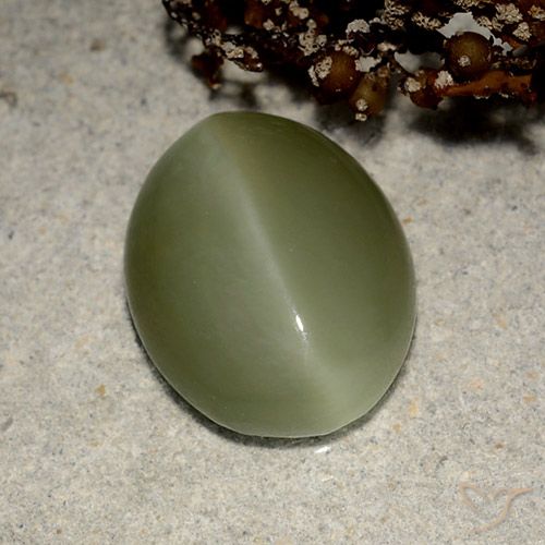 Actinolite cat's eye verde natural de 5,41 ct, corte óvalo, translúcido