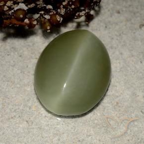 Actinolite cat's eye verde natural de 5,41 ct, corte óvalo, translúcido