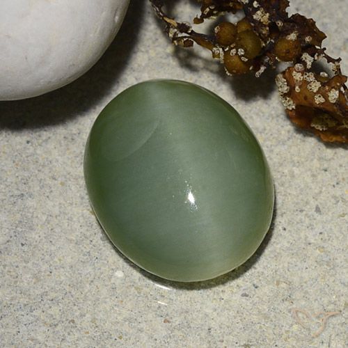 5.48ct Natural Verde gris Ojo de Gato Actinolita, Ovalada, Translúcido