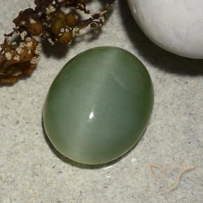 Ojo de Gato Actinolita Verde gris natural de 5.48 ct, Ovalada, Translúcido