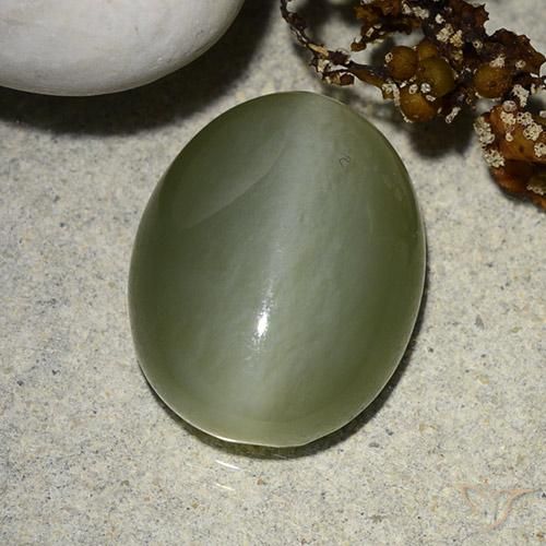 8.99ct Natural Verde musgoso Ojo de Gato Actinolita, Ovalada, Translúcido