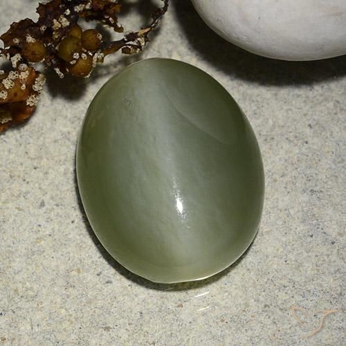 Ojo de Gato Actinolita Verde musgoso natural de 8.99 ct, Ovalada, Translúcido