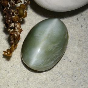 Actinolite cat's eye verde natural de 4,96 ct, corte óvalo, translúcido