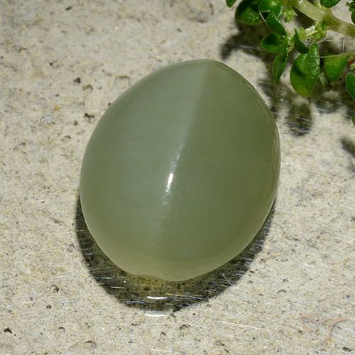 6.57ct Natural Verde grisáceo Ojo de Gato Actinolita, Ovalada, Translúcido