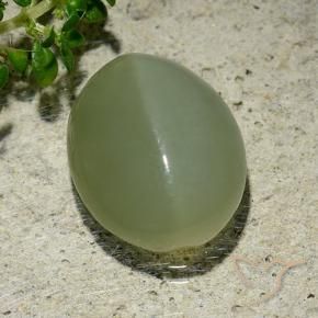 Ojo de Gato Actinolita Verde grisáceo natural de 6.57 ct, Ovalada, Translúcido