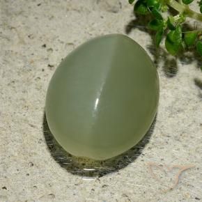 Ojo de Gato Actinolita Verde grisáceo natural de 6.57 ct, Ovalada, Translúcido