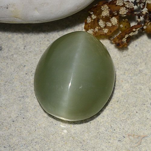 5.93ct Natural Verde terroso Ojo de Gato Actinolita, Ovalada, Translúcido