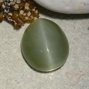 Ojo de Gato Actinolita Verde terroso natural de 5.93 ct, Ovalada, Translúcido
