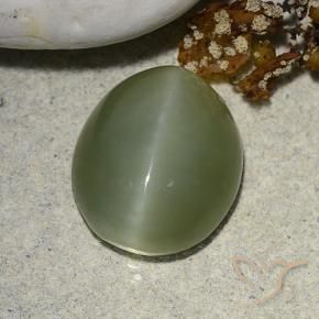 Ojo de Gato Actinolita Verde terroso natural de 5.93 ct, Ovalada, Translúcido