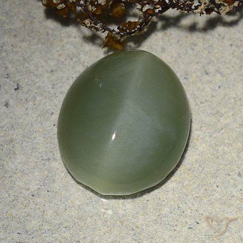 7.31ct Natural Verde medio Ojo de Gato Actinolita, Ovalada, Translúcido