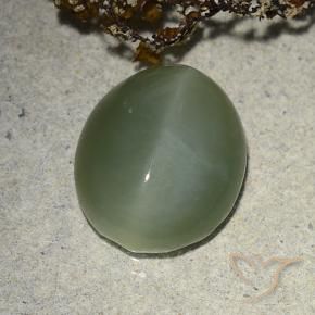 Ojo de Gato Actinolita Verde medio natural de 7.31 ct, Ovalada, Translúcido