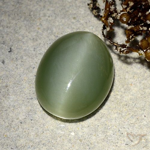 5.91ct Natural Verde terroso Ojo de Gato Actinolita, Ovalada, Translúcido