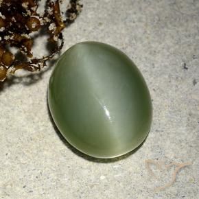 Ojo de Gato Actinolita Verde terroso natural de 5.91 ct, Ovalada, Translúcido
