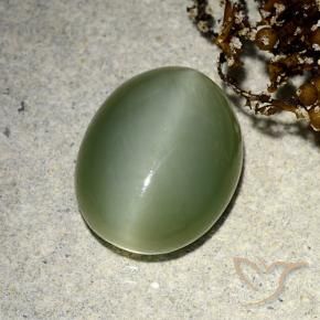 Ojo de Gato Actinolita Verde terroso natural de 5.91 ct, Ovalada, Translúcido