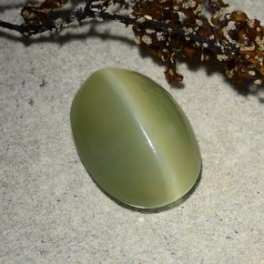 Actinolite cat's eye verde natural de 4,89 ct, corte óvalo, translúcido