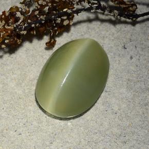 Actinolite cat's eye verde natural de 4,89 ct, corte óvalo, translúcido