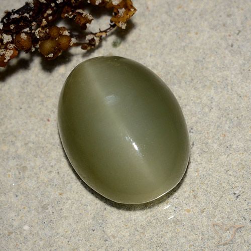7.05ct Natural Verde oscuro Ojo de Gato Actinolita, Ovalada, Translúcido