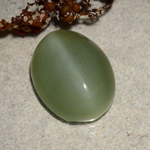 6.88ct Natural Verde medio Ojo de Gato Actinolita, Ovalada, Translúcido