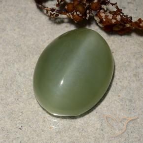 Ojo de Gato Actinolita Verde medio natural de 6.88 ct, Ovalada, Translúcido