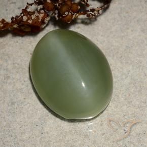 Ojo de Gato Actinolita Verde medio natural de 6.88 ct, Ovalada, Translúcido
