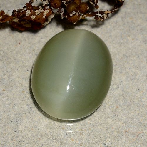 5.10ct Natural Verde amarillento Ojo de Gato Actinolita, Ovalada, Translúcido