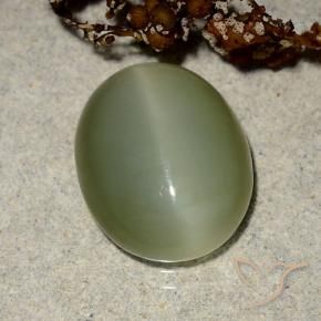 Ojo de Gato Actinolita Verde amarillento natural de 5.10 ct, Ovalada, Translúcido