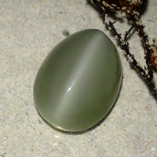 Ojo de Gato Actinolita Verde cálido natural de 6.84 ct, Ovalada, Translúcido