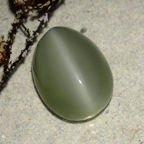 Ojo de Gato Actinolita Verde cálido natural de 6.84 ct, Ovalada, Translúcido