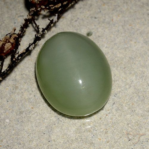 6.99ct Natural Verde cálido Ojo de Gato Actinolita, Ovalada, Translúcido