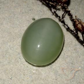 Ojo de Gato Actinolita Verde cálido natural de 6.99 ct, Ovalada, Translúcido