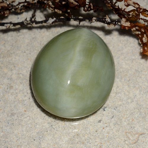 6.52ct Natural Verde cálido Ojo de Gato Actinolita, Ovalada, Translúcido