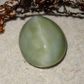 Ojo de Gato Actinolita Verde cálido natural de 6.52 ct, Ovalada, Translúcido