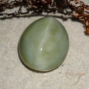 Ojo de Gato Actinolita Verde cálido natural de 6.52 ct, Ovalada, Translúcido