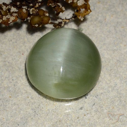 4.90ct Natural Verde cálido Ojo de Gato Actinolita, Ovalada, Translúcido