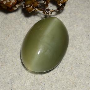 Actinolite cat's eye verde natural de 4,69 ct, corte óvalo, translúcido