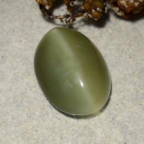 Actinolite cat's eye verde natural de 4,69 ct, corte óvalo, translúcido